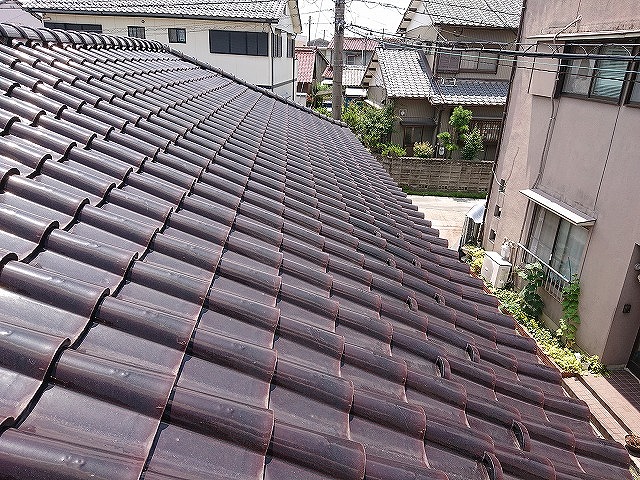 屋根面全体の様子